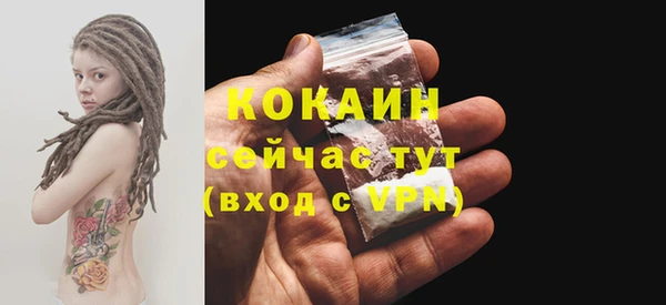 меф Гусев