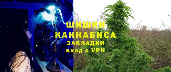 СК Гусь-Хрустальный