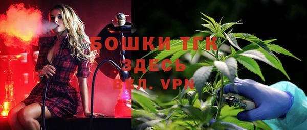 меф Гусев